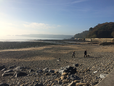 Wisemans Beach with Free Parking and Dog Friendly